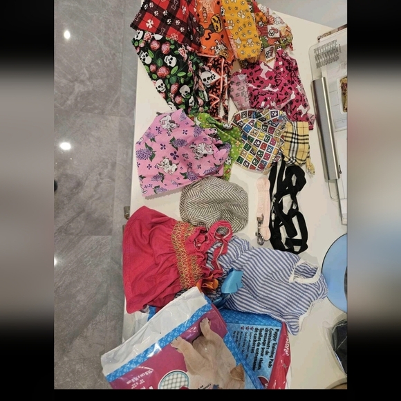 Colorful Dog Bundle Collection - Picture 1 of 1